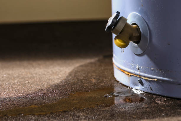 Best 24/7 water damage repair  in Fairmount, CO