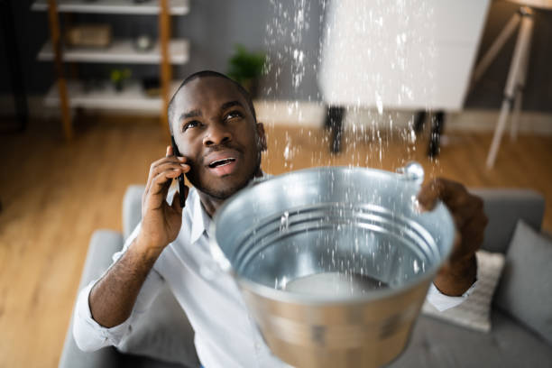Best Commercial water damage restoration  in Fairmount, CO