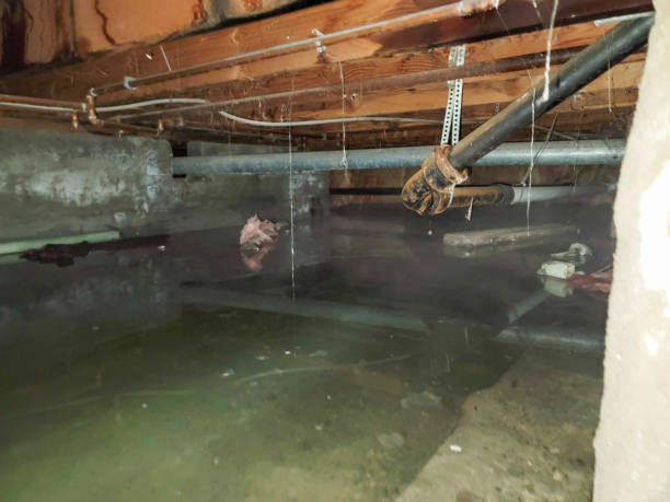 Best Emergency water damage restoration  in Fairmount, CO