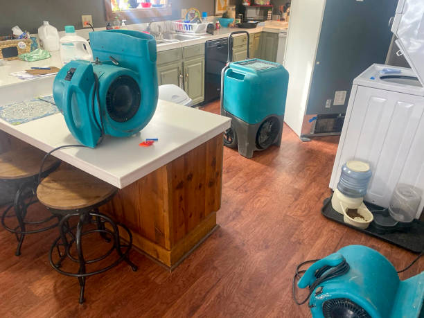 Professional Water damage restoration in CO