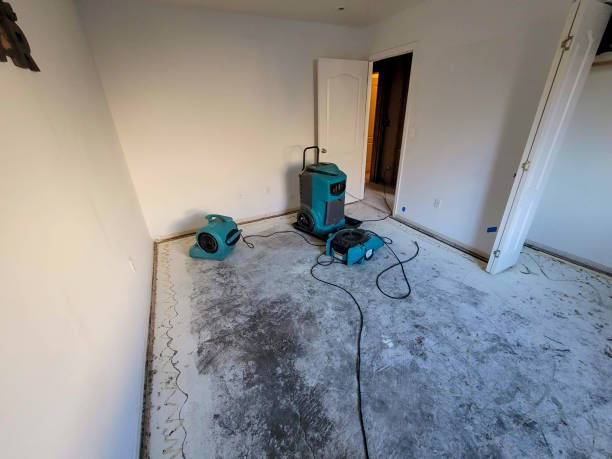 Best Water damage cleanup near me  in Fairmount, CO