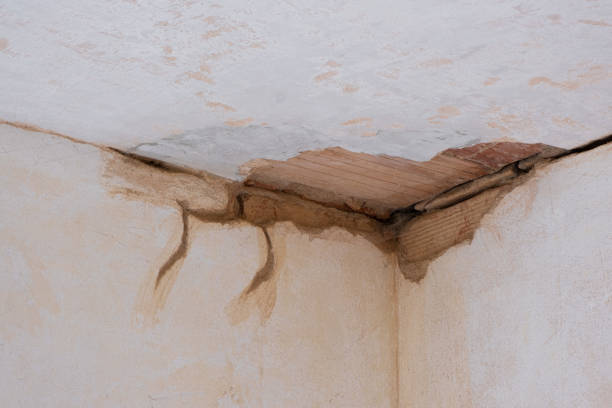 Best Basement water damage restoration  in Fairmount, CO