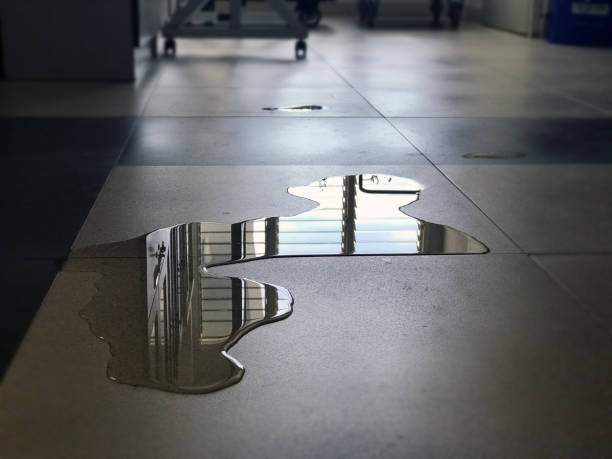 Best Water damage restoration specialists  in Fairmount, CO