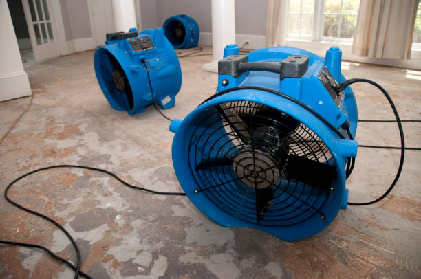 Best Ceiling water damage repair  in Fairmount, CO