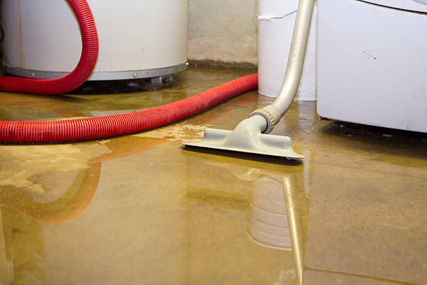 Best Water damage repair service  in Fairmount, CO
