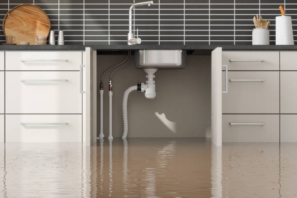 Best 24-hour water damage restoration  in Fairmount, CO