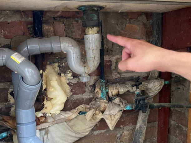 Best Local water damage restoration  in Fairmount, CO