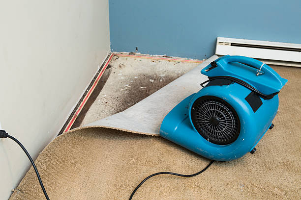 Best Flood restoration services  in Fairmount, CO